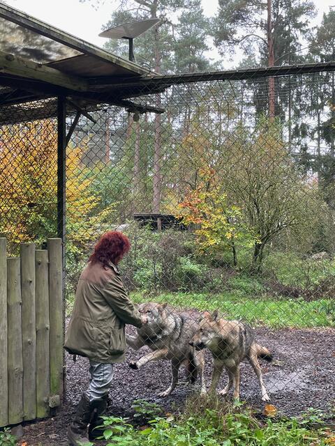 Die Wolfspflegerin mit ihren Schützlingen