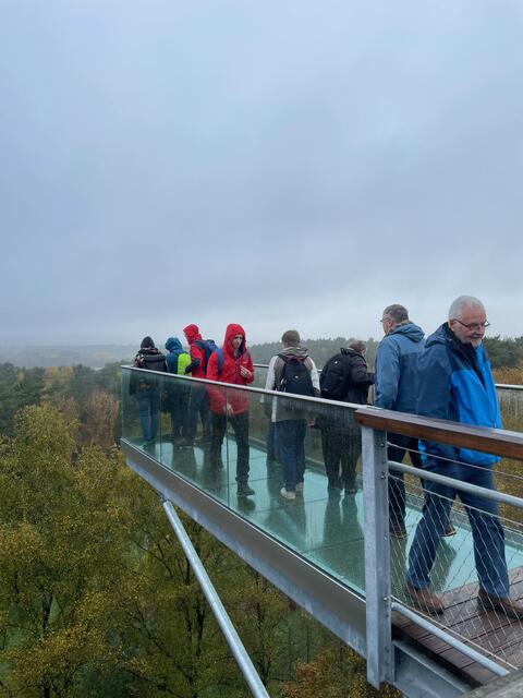 Ausflug in den Wildpark Lüneburger Heide - Ausblick vom Baumwipfelpfad