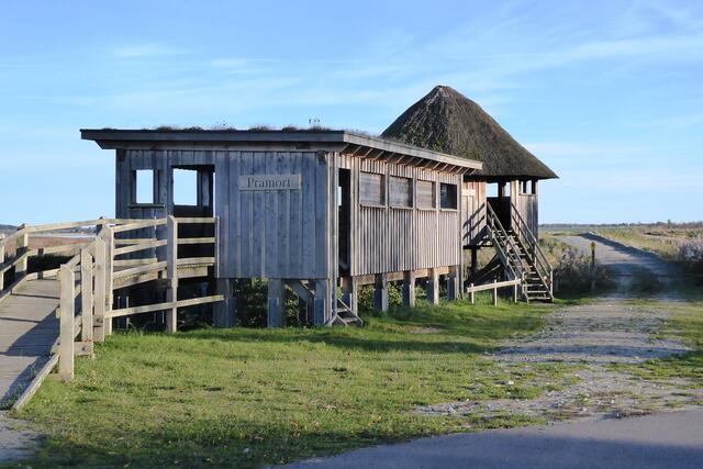 Der Vogelausguck Pramort im Nationalpark Vorpommersche Boddenlandschaft.