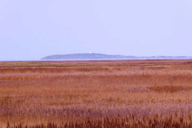 Leuchtfeuer von der Insel Hiddensee.