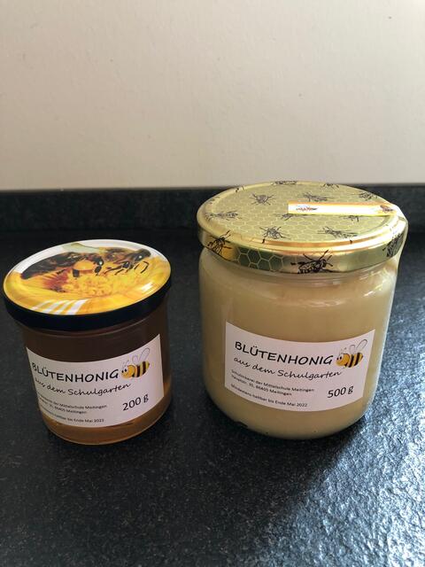 Foto: An der Mittelschule Meitingen gibt es eine "Bienen-AG" unter Leitung von Fachoberlehrerin Martina Forestieri. 