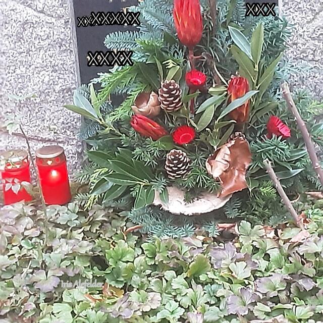 Foto: Iris Alefelder