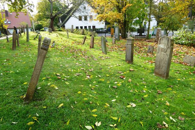 Auf einer Wiese stehen einige Grabsteine aus früheren Jahrhunderten. Sie sind stark verwittert und einige sind kaum noch zu lesen. 