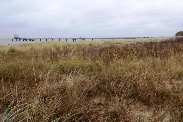 Die Tauchgondel am Ende der 270 Meter langen Seebrücke von Zingst.
