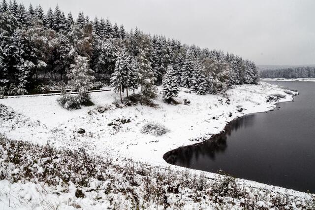 Hochwasserschutzbecken Kalte Bode - Mandelholz