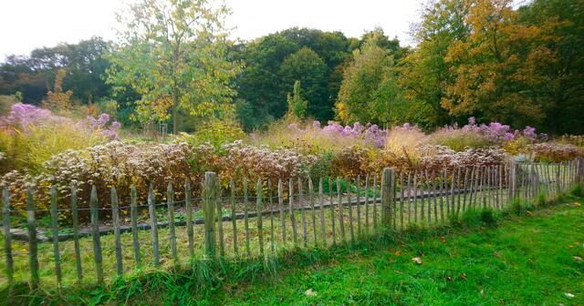 Im Stadtpark | Foto: Shima Mahi