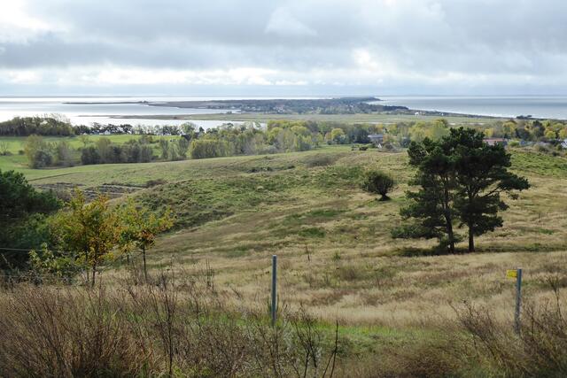 Die Hügellandschaft der Insel Hiddensee.