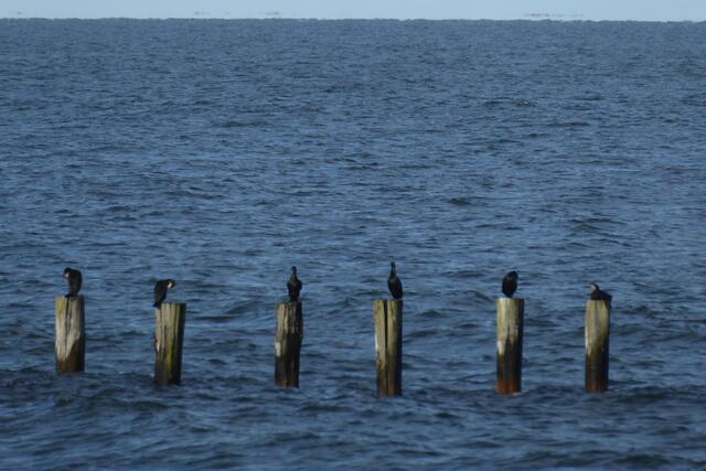 Geordnete Ruhe. Gesehen vom Zingster Strand.