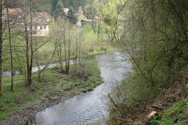 Vereinigung der Kalten und Warmen Bode in Königshütte zur Bode