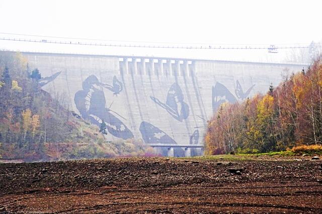 Rappbodetalsperrenmauer mit den Schmetterlingen, normalerweise steht dieser Bereich der Wendefurther Talsperre vollkommen unter Wasser