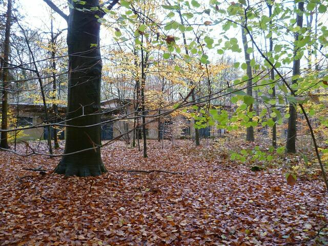 Das komplette Gelände der Industriebrache hat eine Größe von 126.000 Quadratmetern.