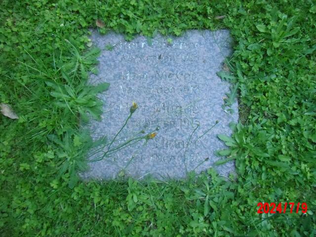 Eine der neu eingefügten Platten. 