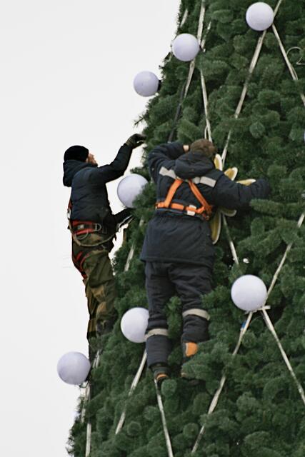 Der riesige Weihnachtsbaum wird geschmückt