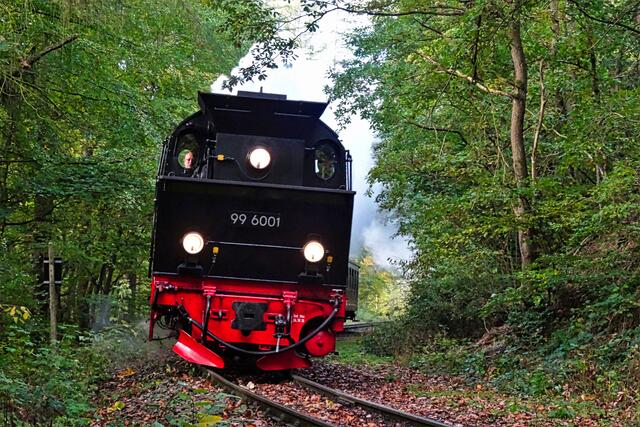 die Selketalbahn im Ostergrund
