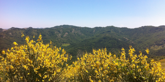 Foto: Bilder im Besitz von Destinazione Turistica Romagna