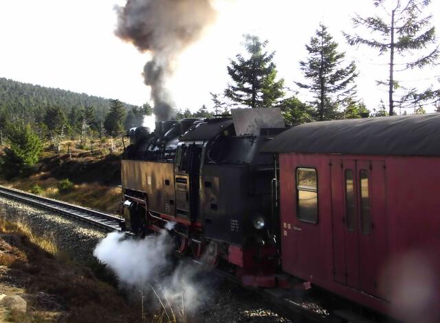 Von Drei Annen Hohne zweigt das Gleis zum Brocken ab. 