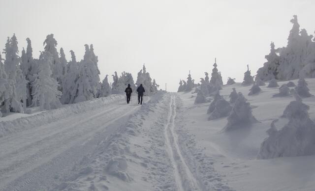Natürlich kann man auch die Wanderstiefel schnüren. So wie hier auf der Brockenchaussee.