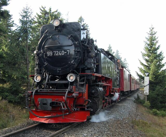 So schön die alten Dampfloks auch sind. Bei extremer Trockenheit müssen sie in Zukunft durch Dieselloks ersetzt werden. Erst in diesem Jahr hat es wieder einen Waldbrand gegeben, vermutlich durch Funkenflug verursacht.