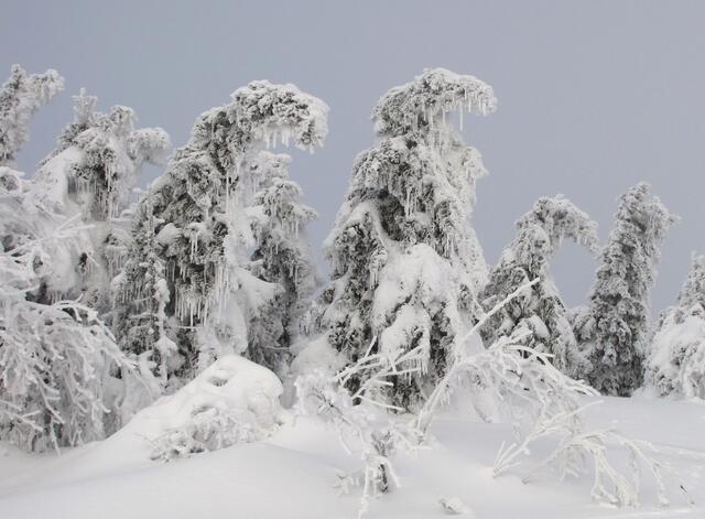 Dann blickt man auf zauberhafte Gestalten.