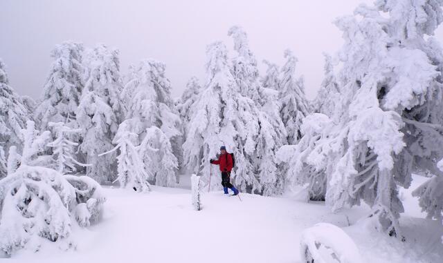 In der Bahn können auch Ski mitgenommen werden. Bei einer Abfahrt nach Schierke geht´s 600 Meter tief bergab.