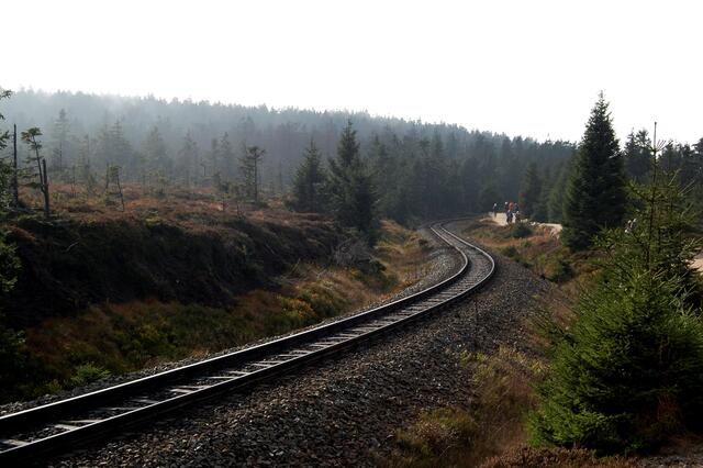 Zur einen Seite der Gleise der Goetheweg, zur anderen das bis zu sechs Meter tiefe Brockenmoor. 