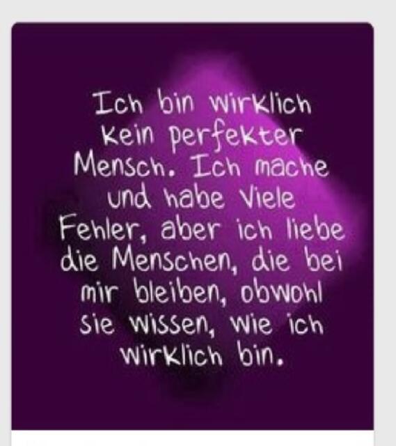 Netzfundstück