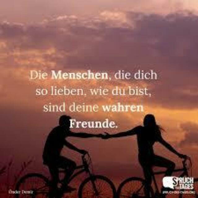 Netzfundstück
