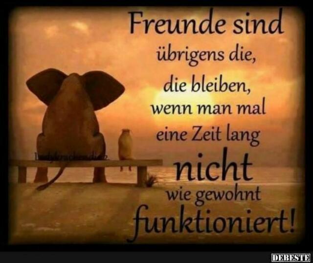 Netzfundstück