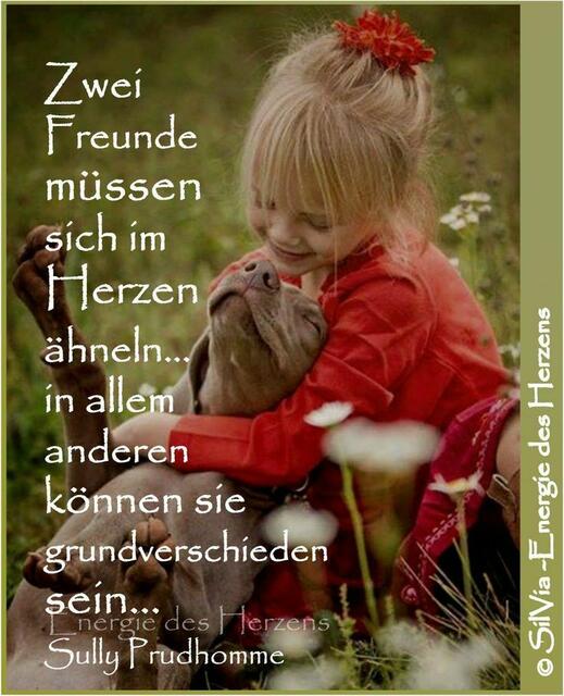 Netzfundstück