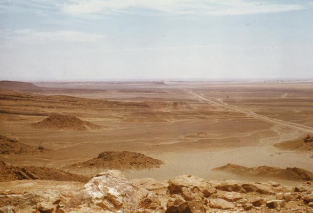 Gebiete der Erde werden unbewohnbar werden. Temperaturen um die 50 Grad werden keine Seltenheit sein. So war es auch im vorigen Jahr bei der Haddsch in Mekka, als 1300 Menschen den Hitzetod fanden.