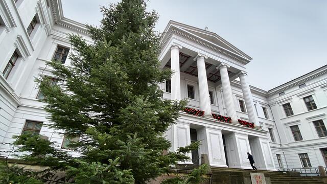 Vor dem Gebäude der Staatskanzlei steht eine riesige Weihnachtstanne. Foto: Helmut Kuzina