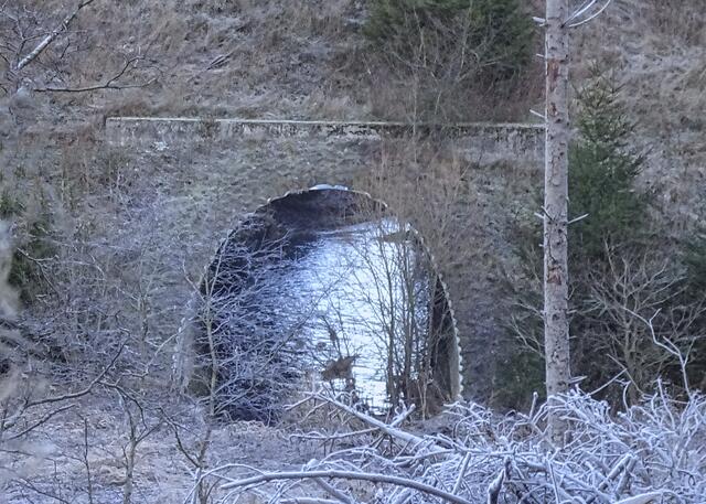 Durchflußöffnung für die Rappbode im Bahndamm der Harzquerbahn (Harzer Schmalspurbahn). Es ist schon fast ein Rätselbild - denn man nicht ekennen wo das Wasser herkommt. 