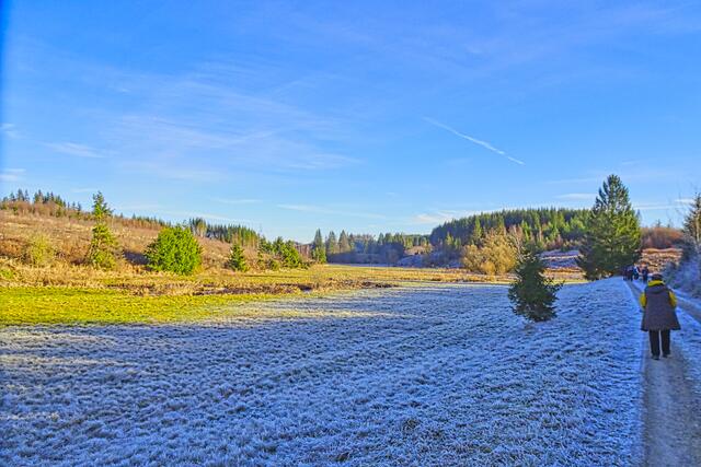 im Rappbodetal, durch die Sonneneinstrahlung ist der Rauhreif teilweise schon verschwunden
