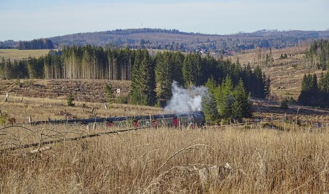 die Harzquerbahn taucht aus dem Geländeeinschnitt auf 
