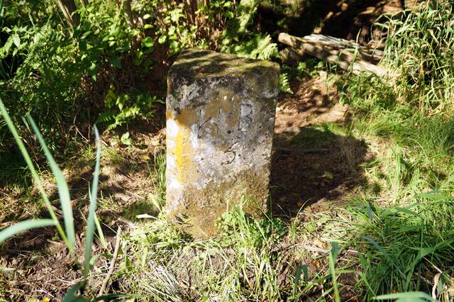 in der Nähe von Benneckenstein gibt es den Dreiherrenstein. Hier trafen die Königreiche Hannover und Preußen mit dem Herzogstum Braunschweig aufeinander