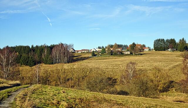 Blick vom Bergwiesen Lehrpfad auf Benneckenstein