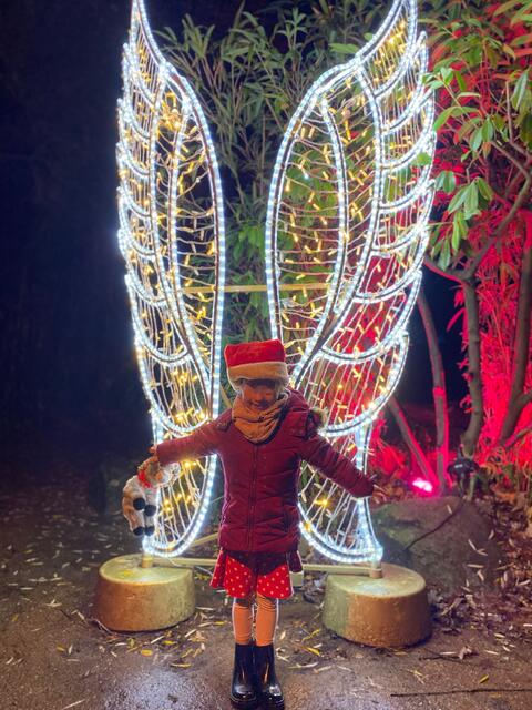 Christmas Garden im Dezember