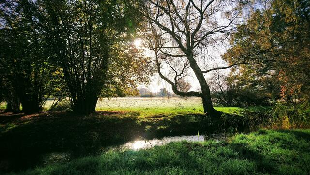 An diesem Standort habe ich schon oft fotografiert. Es gibt immer wieder etwas Neues zu entdecken. | Foto: Shima Mahi