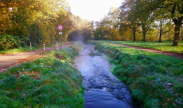 Ein goldener Herbstmorgen im November | Foto: Shima Mahi