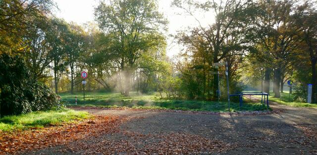 Es ist ein sonniger kalter Novembermorgen | Foto: Shima Mahi