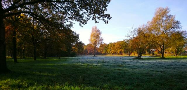 Eine leichte Raureifdecke liegt auf der Wiese. | Foto: Shima Mahi