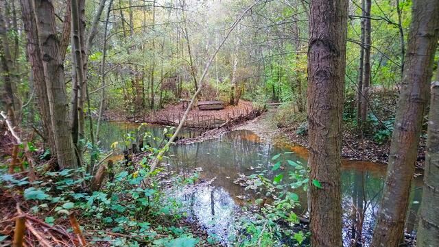 Hier wartet das Abenteuer. | Foto: Shima Mahi