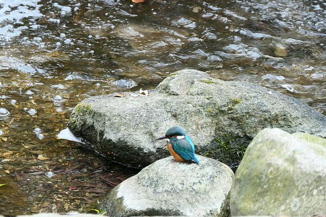 Neue Energie tanken auf den Steinen am Wasserfall