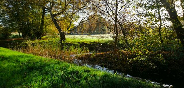 Zusammenfluss von Graben und Wietze | Foto: Shima Mahi