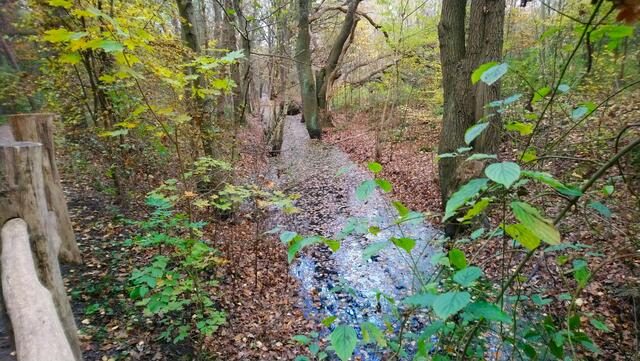 Natur pur | Foto: Shima Mahi