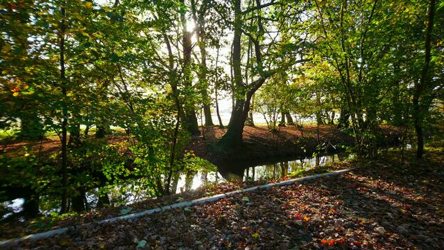 Ein paar Schritte weiter | Foto: Shima Mahi