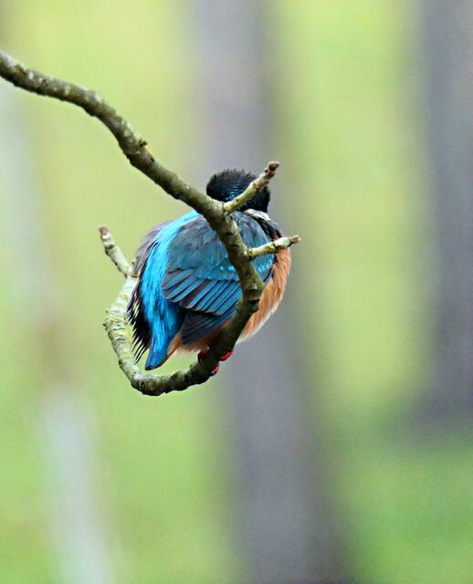 ERSTKLASSIGE KURVENLAGE!