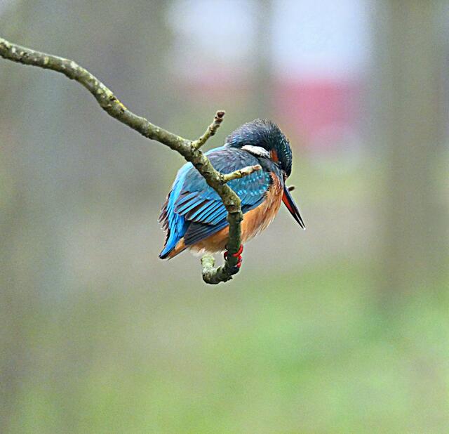 UND IMMER STARTKLAR!