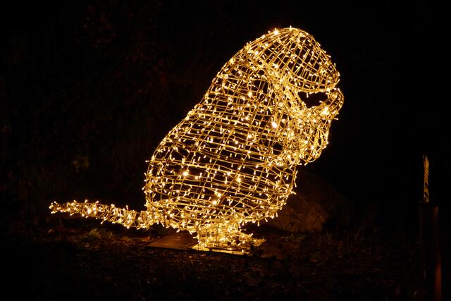 Okay, ein Biber. Hmmm, weihnachtlich?