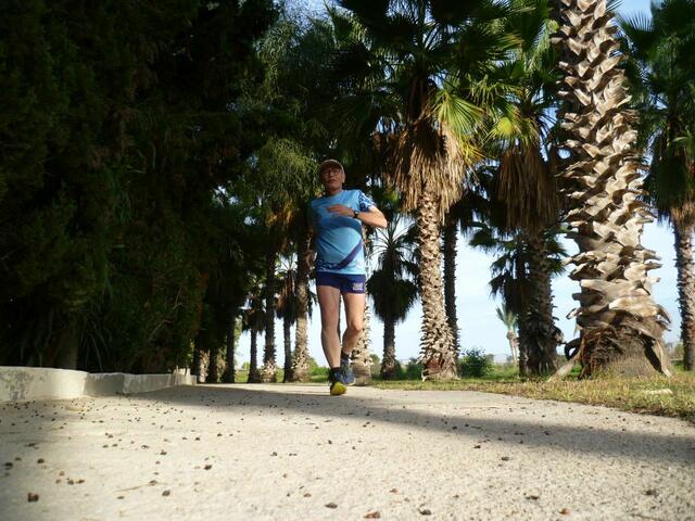 Ein herrliches Laufrevier.
